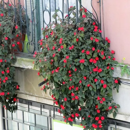 From Appartement *